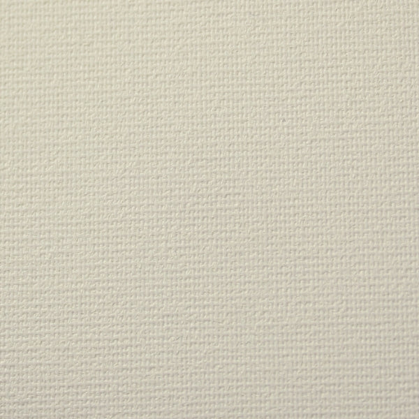 Delicate Cream Light Filtering Fabric Sample